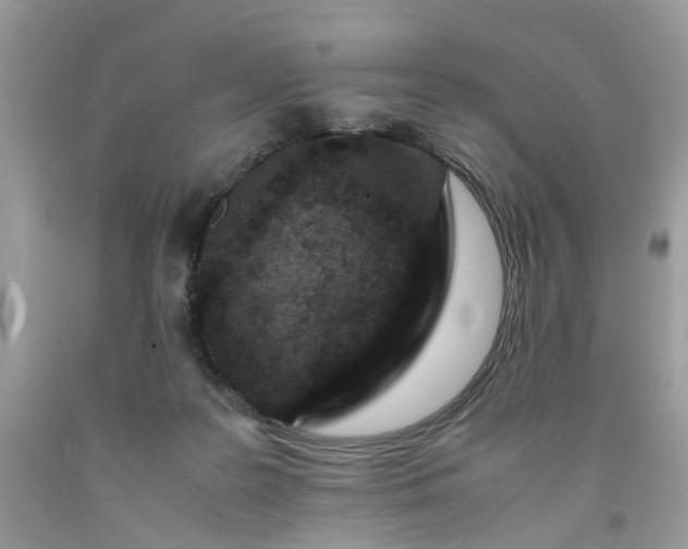 X0000091650219200709061006