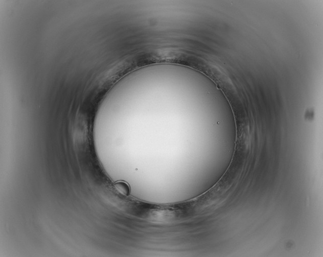 X0000091650220200709061006