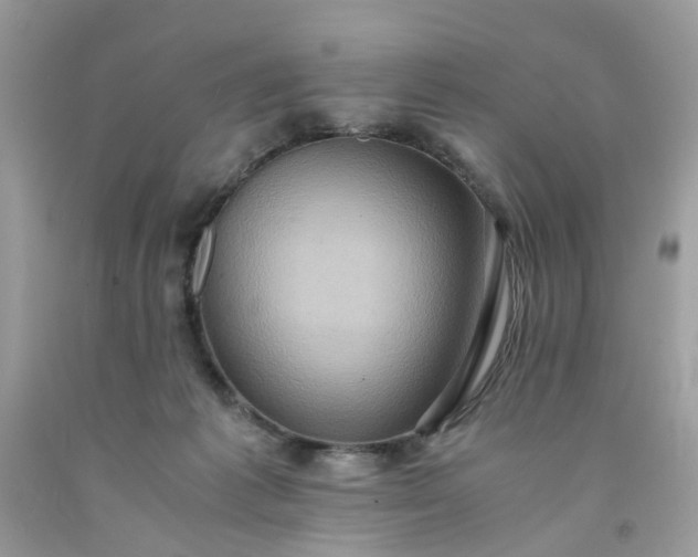 X0000091650221200709061006