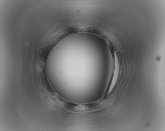 X0000091650225200709061006