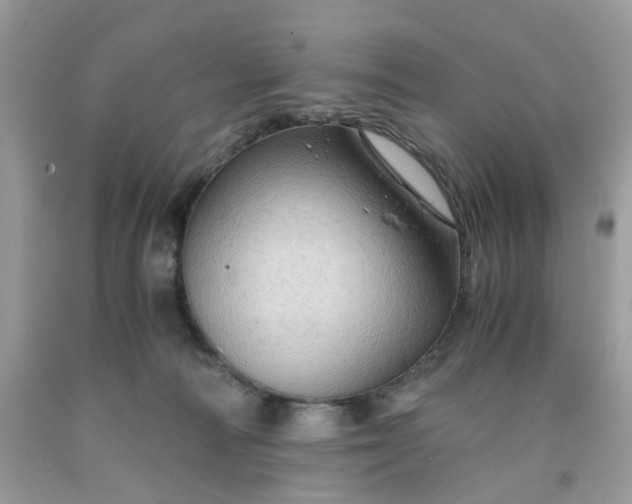 X0000091650226200709061006