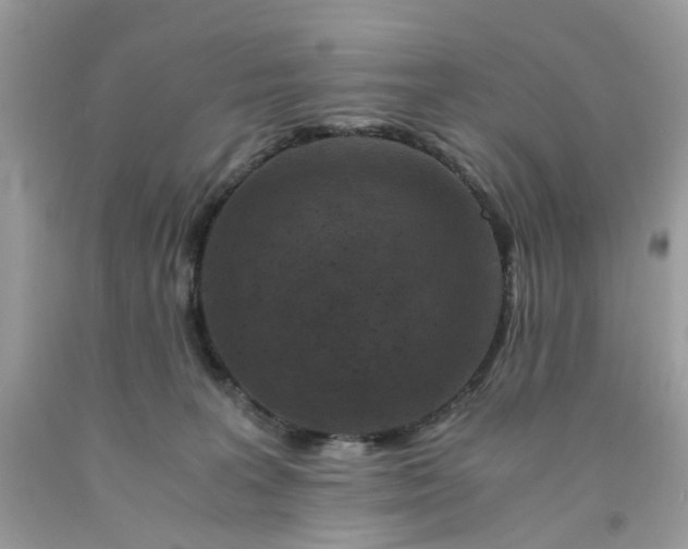 X0000091650227200709061006