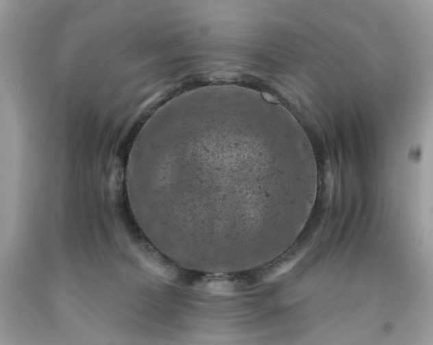 X0000091650228200709061006