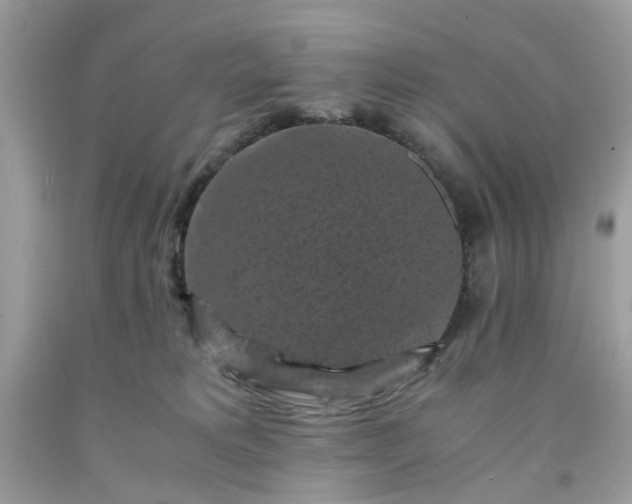 X0000091650229200709061005