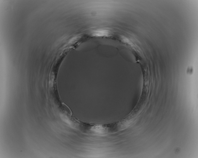 X0000091650231200709061005