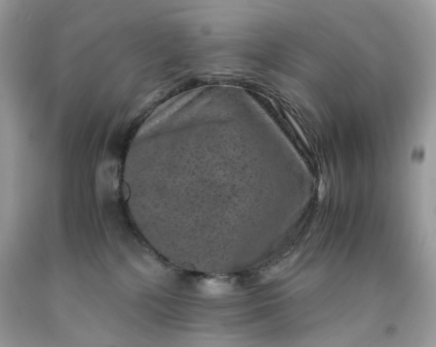 X0000091650232200709061005