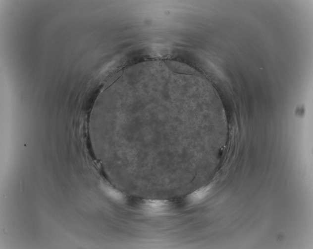 X0000091650233200709061005