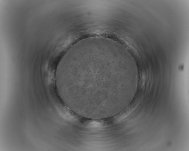 X0000091650236200709061005