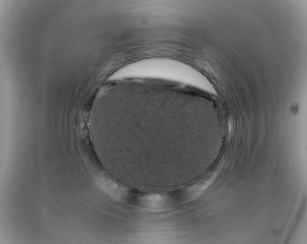 X0000091650237200709061005