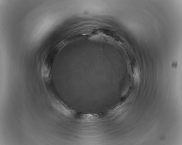 X0000091650239200709061005