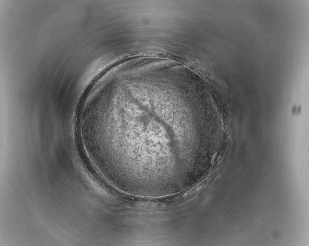 X0000091650242200709061005