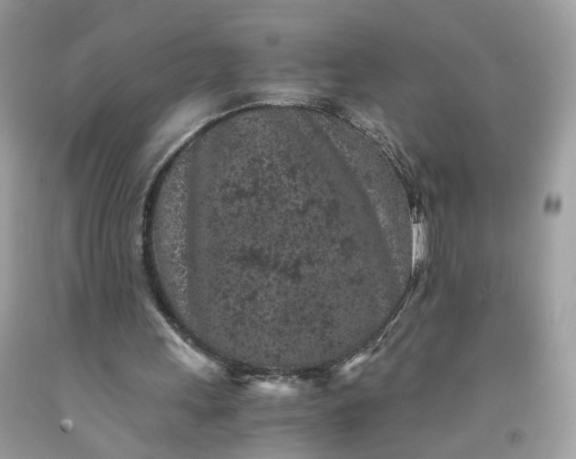 X0000091650243200709061005