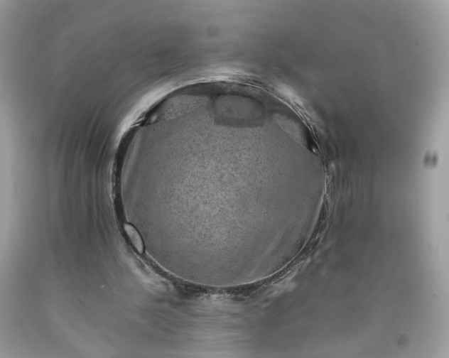 X0000091650244200709061005