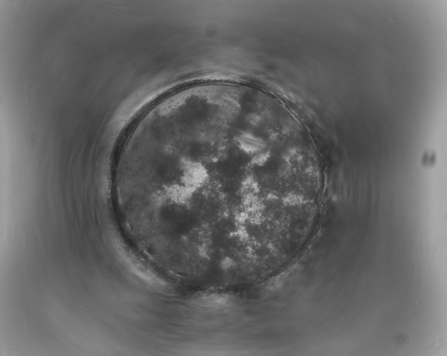 X0000091650247200709061005