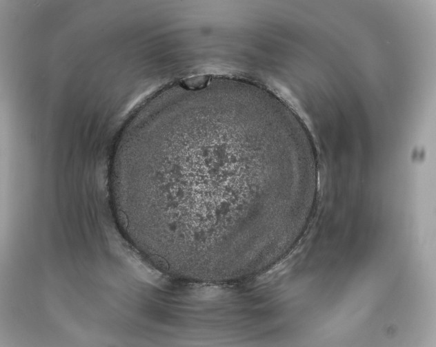 X0000091650249200709061005