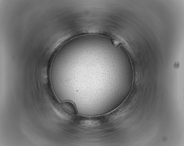 X0000091650251200709061005