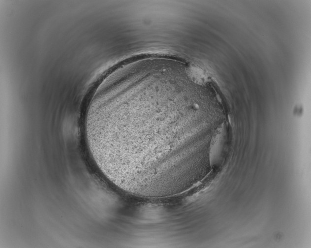 X0000091650252200709061005