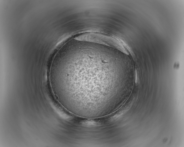 X0000091650253200709061005