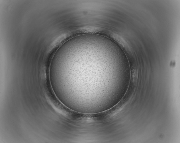 X0000091650254200709061005