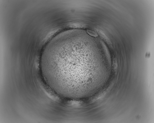 X0000091650255200709061005