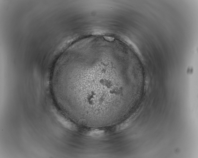 X0000091650257200709061005