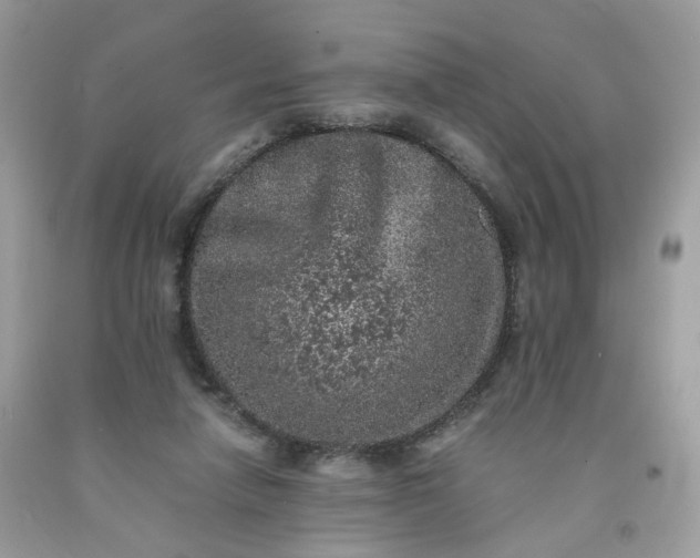 X0000091650258200709061005