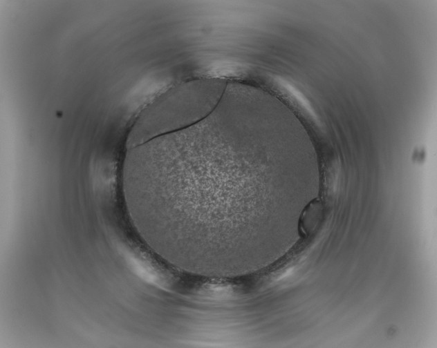 X0000091650260200709061005