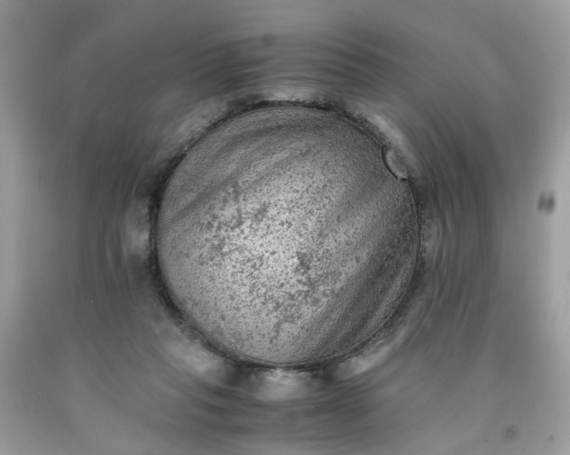 X0000091650261200709061005