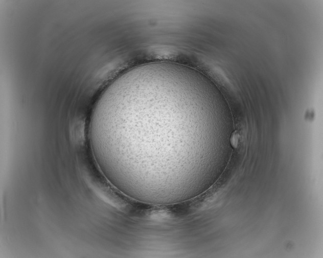 X0000091650262200709061005