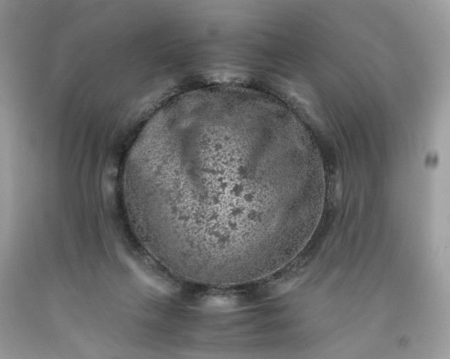 X0000091650263200709061005