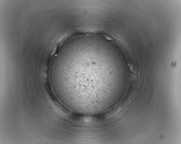 X0000091650264200709061005