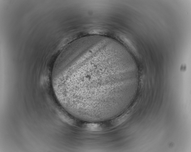 X0000091650265200709061005