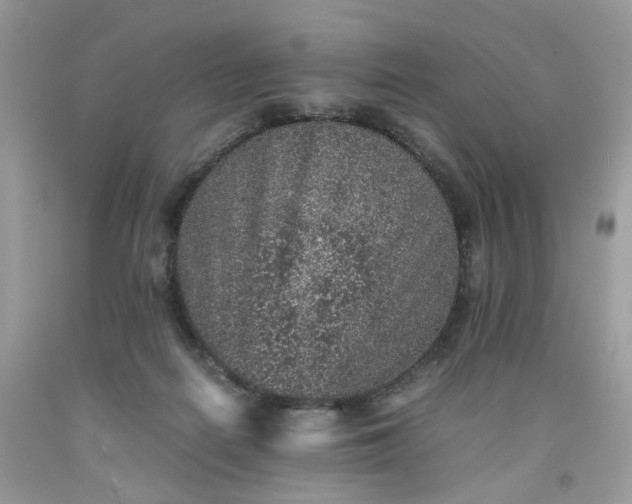 X0000091650266200709061005