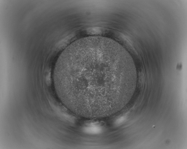 X0000091650267200709061005