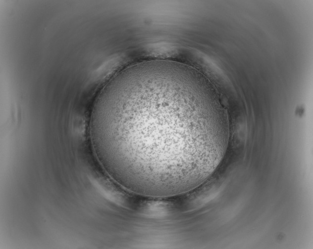 X0000091650268200709061005