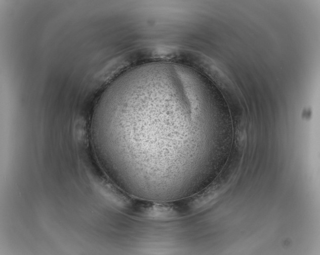 X0000091650270200709061005