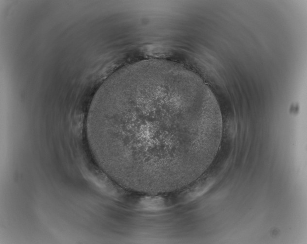 X0000091650271200709061005