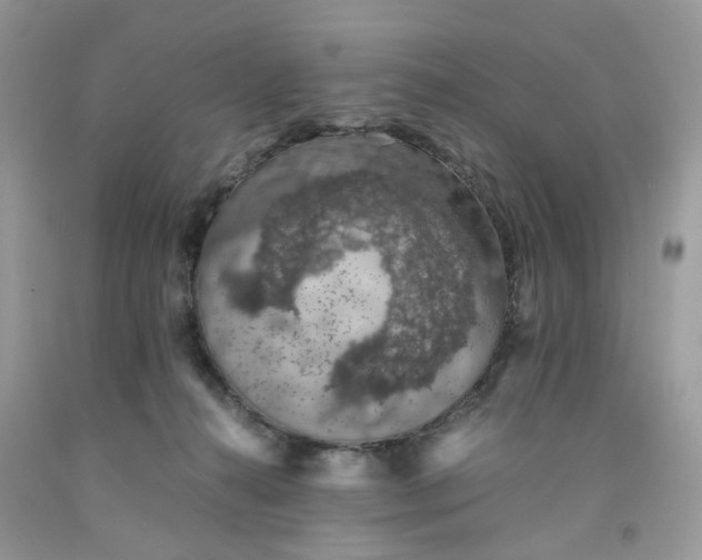 X0000091650272200709061005