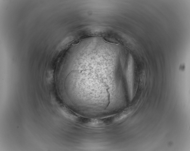 X0000091650278200709061005