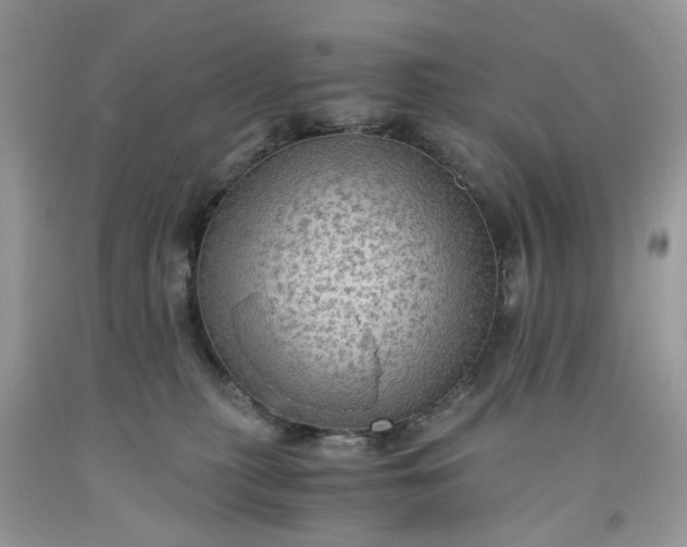 X0000091650279200709061005