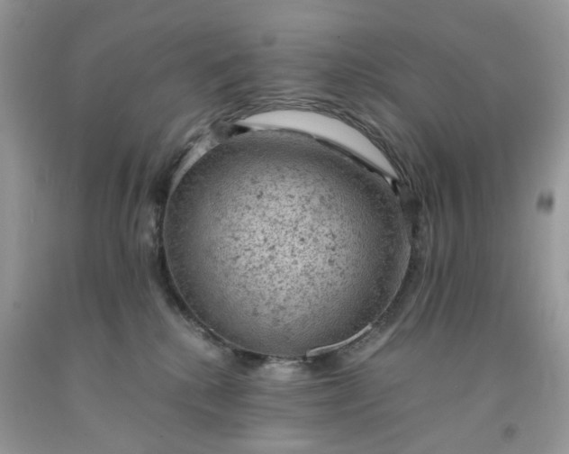 X0000091650280200709061005