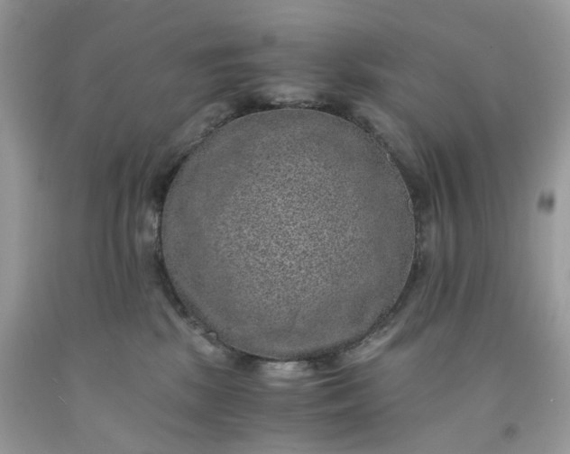 X0000091650281200709061005