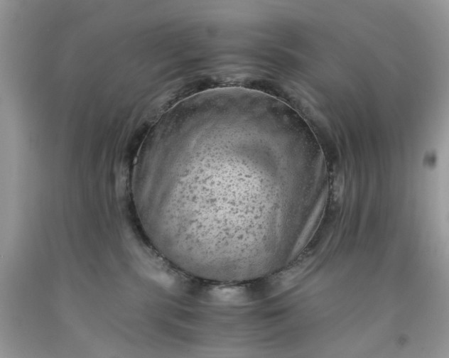 X0000091650283200709061005