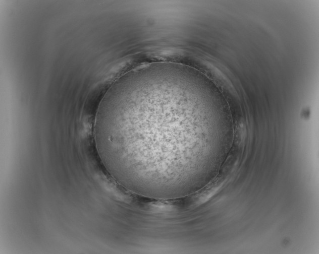 X0000091650284200709061005