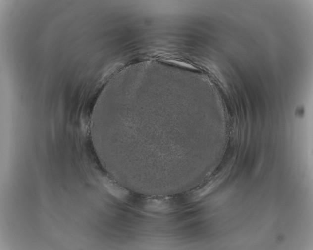 X0000091650285200709061005