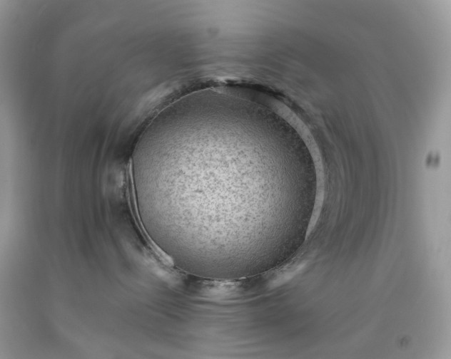 X0000091650288200709061005