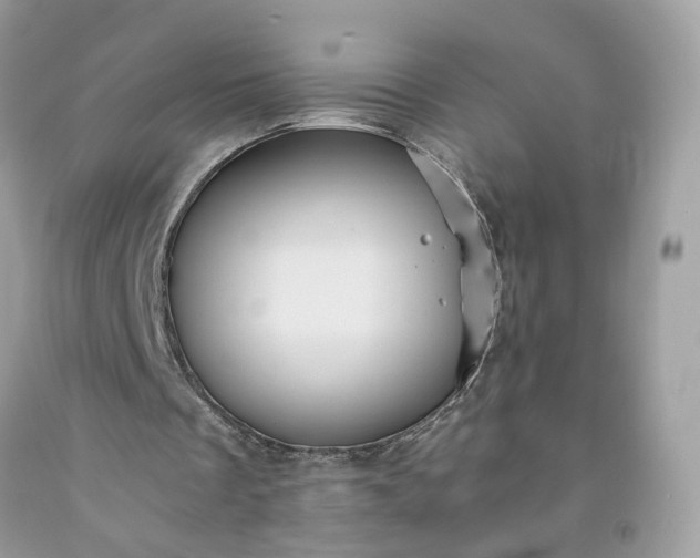 X0000091650289200709061005