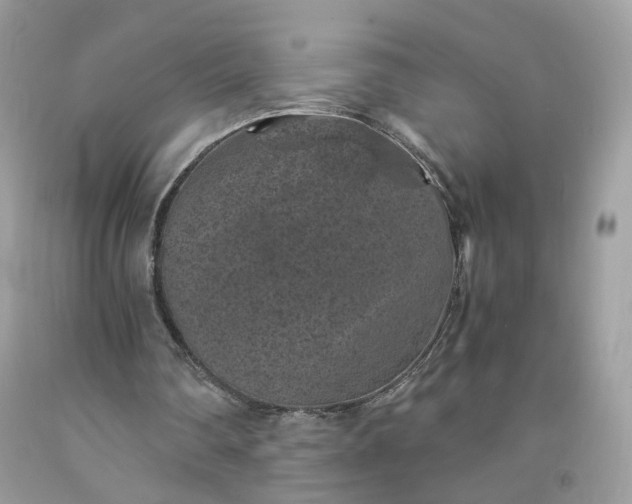 X0000091650290200709061005