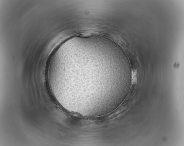 X0000091650291200709061005