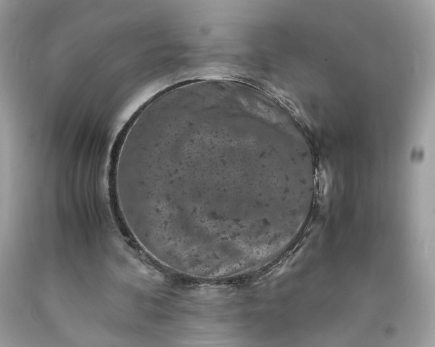 X0000091650292200709061005